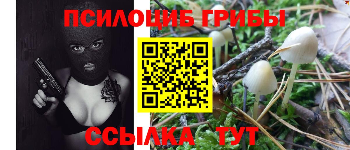 Галлюциногенные грибы Psilocybine cubensis  Вход с VPN  Оренбург 